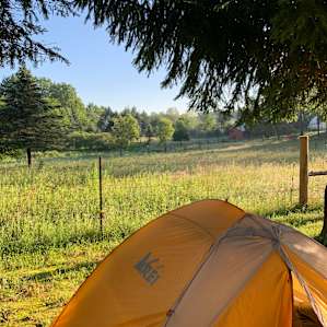 Tent Sites on the Farm