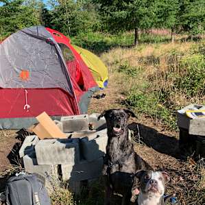 Camp SuNeeKee