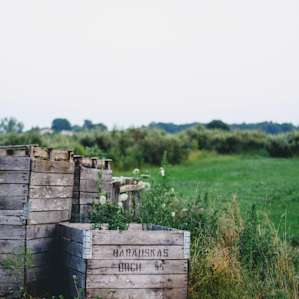 Organic Apple Orchard and Farm