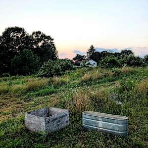 Organic Apple Orchard and Farm