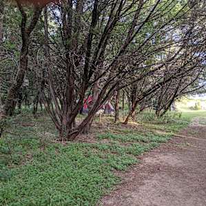 The Human Path Homestead