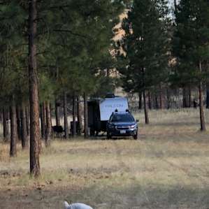 R&R camp