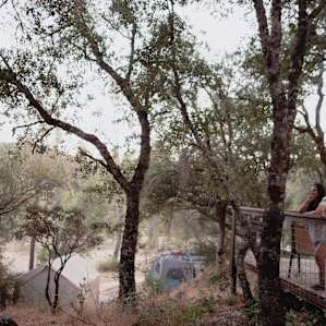 To get an idea of the layout of the canvas tents. Some higher than others, some closer to the river. All great!