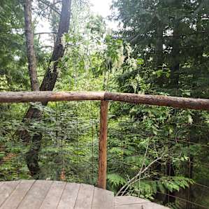 Owl's Nest TreeHouse @ AWPW
