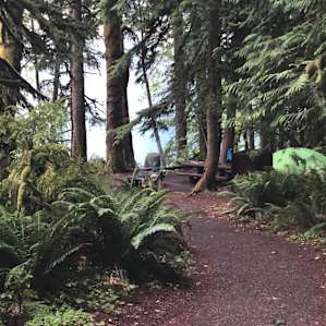 Fairholme Campground