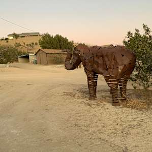 15 acre desert ranch,forest closeby