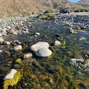 15 acre desert ranch,forest closeby