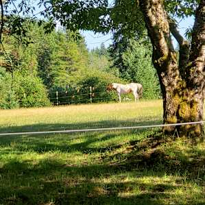 Creekside, 124 Acre Farm Wetlands