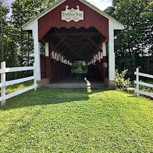 Glamping at the Honey Farm