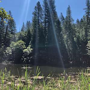 CedarSong Sanctuary Cabin on a pond