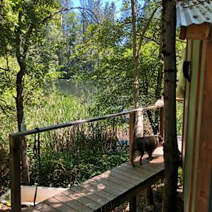 CedarSong Sanctuary Cabin on a pond