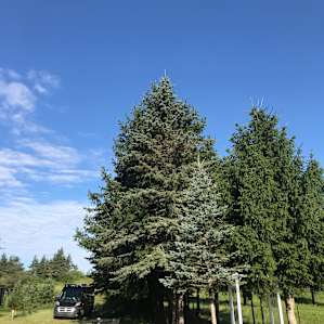 RV camping on the farm