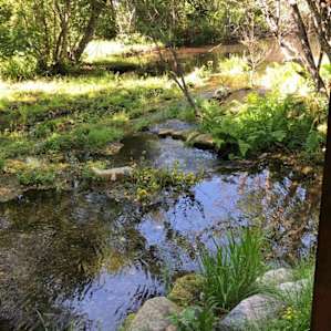 The Spring pond mini stair falls
