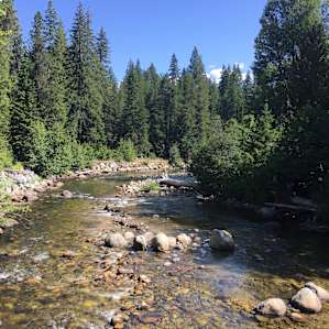 Nason Creek