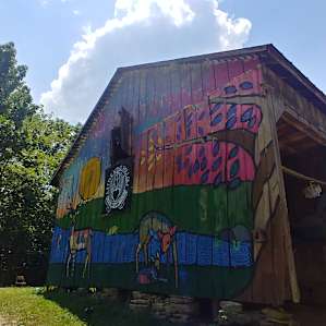 Little Wing Hollow's Frisbee Field