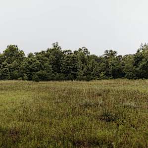 A beautiful wild area that separates the campgrounds from the main residence
