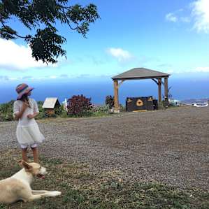 Views for Days - Haleakala Maui