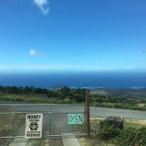 Views for Days - Haleakala Maui