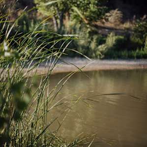 There's river access down by the campsite area, be sure to ask Karen how to get down there!