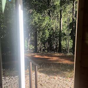 Morning view from the tiny house
