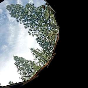 Skyroof view