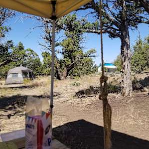 Looking out from the table area.