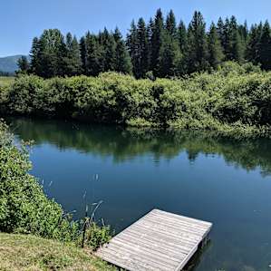 The amazing dock