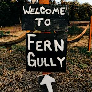 Fern Gully Forest