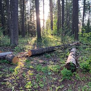 Emigrant Springs Campground