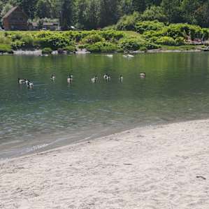 Site 3
Beachy area