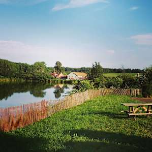 The Heron: Organic Farm & Forests