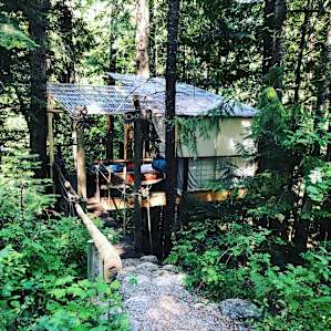 Owl's Nest TreeHouse @ AWPW