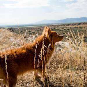 Bakken exploring