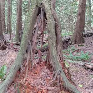 Hiking photos.
