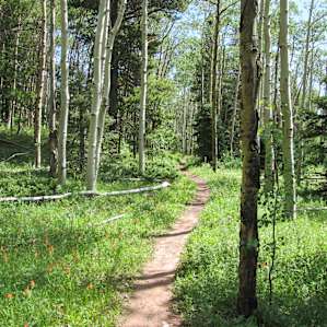 Venable Trail