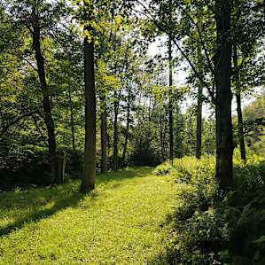 So much green..