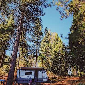 Artist Community in The Forest