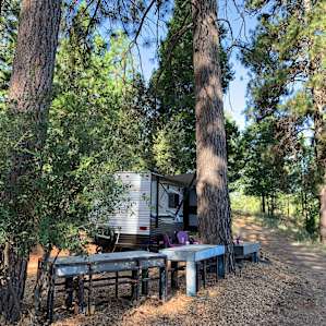 Artist Community in The Forest