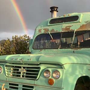 Rainbow buses.