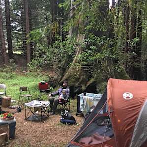 Baby Banana Slug Farm