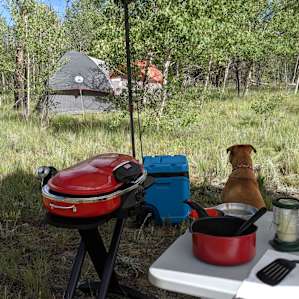 Camp Brandonwood Aspen Glen