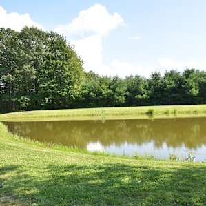 Rustic Cabin on Pond