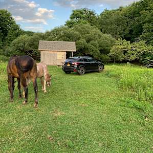 Farm Stay in Farmhand Cabin
