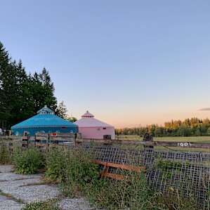 Yurts on property