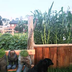 Kevin's awesome garden