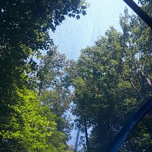 Tent views