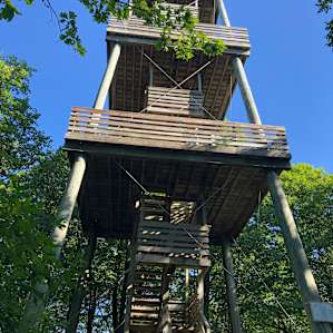 Parnell Tower.