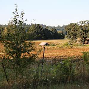 Wide open views of farmland and foothills.