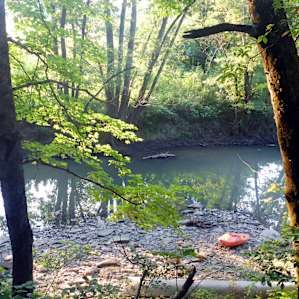 Little Wing Hollow's Frisbee Field