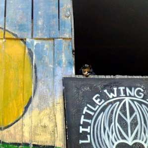 Little Wing Hollow's Frisbee Field